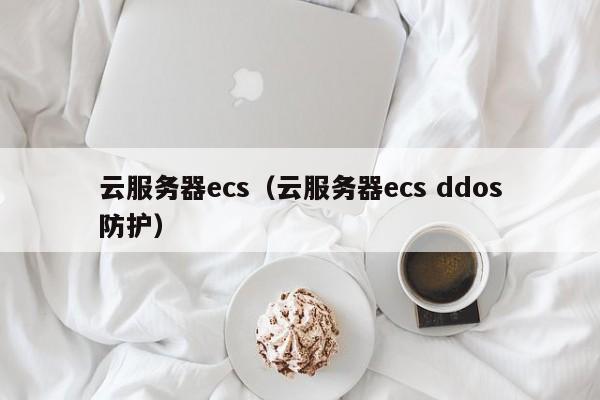 ECS服务器赋能VPN翻墙，高效稳定网络突破新境界,ECS服务器示意图,ecs 做vpn翻墙,VPN服,VPN的,VPN后,第1张