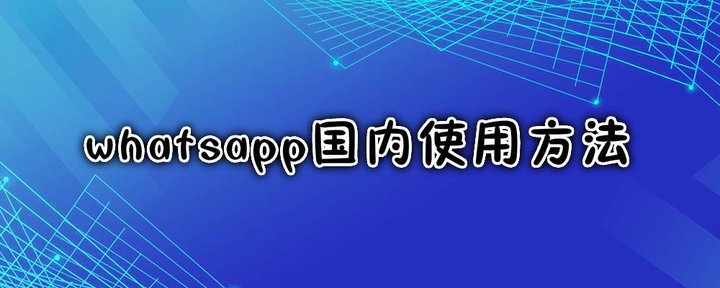 大陆用户WhatsApp安全指南，VPN技术助力现代通讯安全,WhatsApp图片,大陆whatsapp vpn,VPN服,VPN后,VPN安,第1张