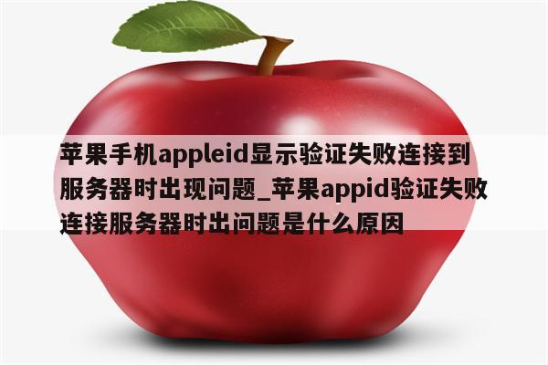 苹果VPN验证问题解析与解决策略,Apple VPN验证相关图示,apple vpn需要验证,VPN服,第1张