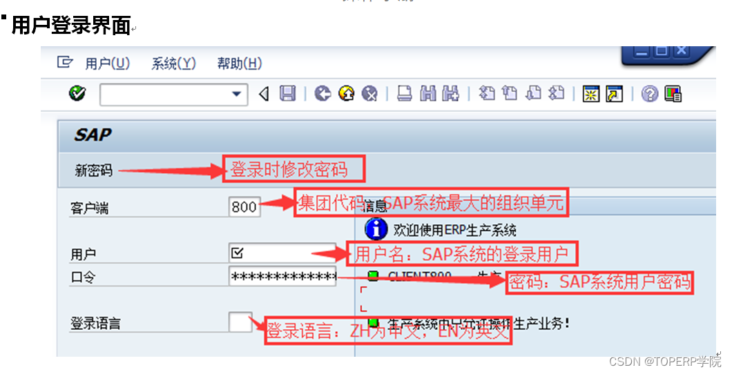 SAP系统安全访问指南，VPN类型及配置详解,SAP系统与VPN示意图,sap用哪个vpn,VPN服,VPN的,SSL VPN,第1张