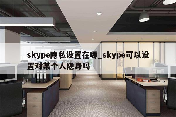 Skype VPN，安全通话与隐私保护的双重防线,skype要vpn吗,VPN服,通过VPN连接,第1张