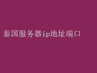 网络隐身利器，深度解析VPN地址与端口配置,VPN连接示意图,vpn地址和端口,了解VPN,VPN服,VPN端,第1张