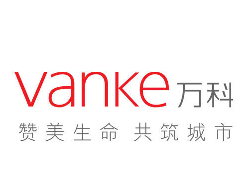 万科企业集团如何通过VPN.vanke.com实现安全高效的网络接入,VPN技术示意图,vpn.vanke.com,VPN服,第1张