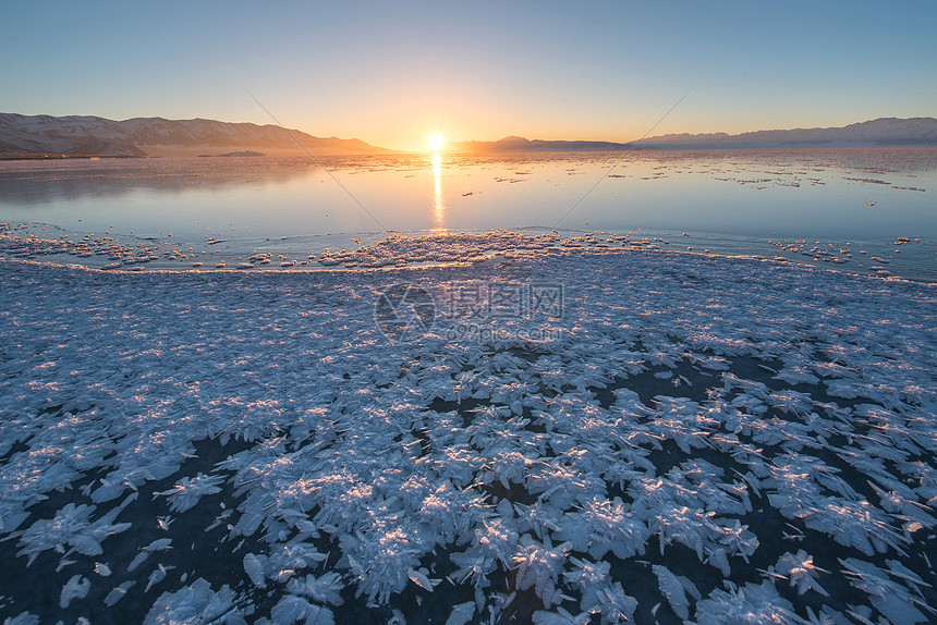 冰封奇迹，霜冻现象揭秘与生态影响探析,霜冻景象,frost,第1张