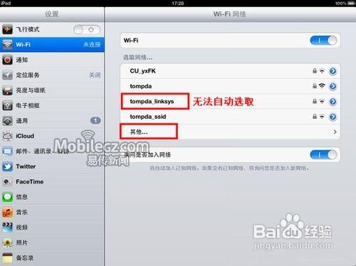 iPad连接WiFi时VPN的设置及其重要性,iPad与VPN相关图片,ipad wifi vpn吗,VPN的,填写VPN,第1张