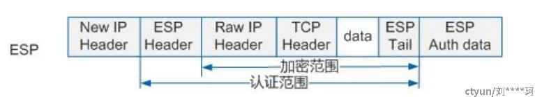 IPsec VPN与NAT-T，揭秘网络安全与网络穿透的融合之道,IPsec VPN与NAT-T技术图示,ipsec vpn nat-t,VPN服,VPN的,IPsec VPN,第1张