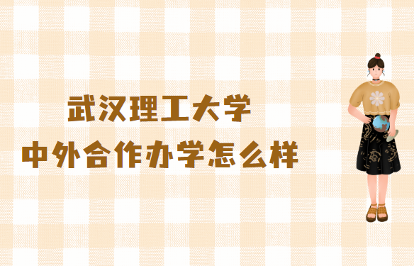 武汉理工大学VPN，解锁全球学术资源，拓宽学子国际化视野,武汉理工大学VPN服务示意图,武汉理工外网vpn,VPN服,VPN的,VPN登录页面,第1张