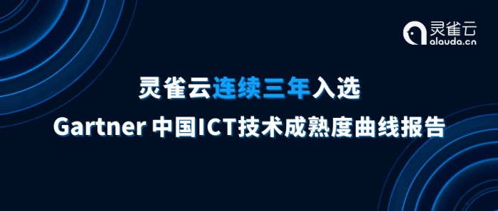 灵雀云，企业VPN构建专家，护航网络安全防线,灵雀云VPN示意图,灵雀云 搭建vpn,VPN服,VPN的,购买VPN服务,第1张