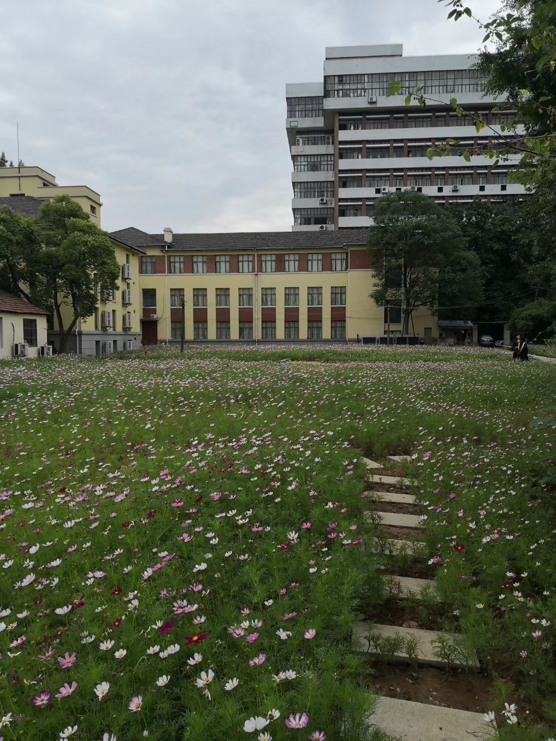 河海大学VPN快速登录指南，解锁学术资源新途径,河海大学VPN服务介绍,河海大学vpn登陆,VPN服,at,第1张