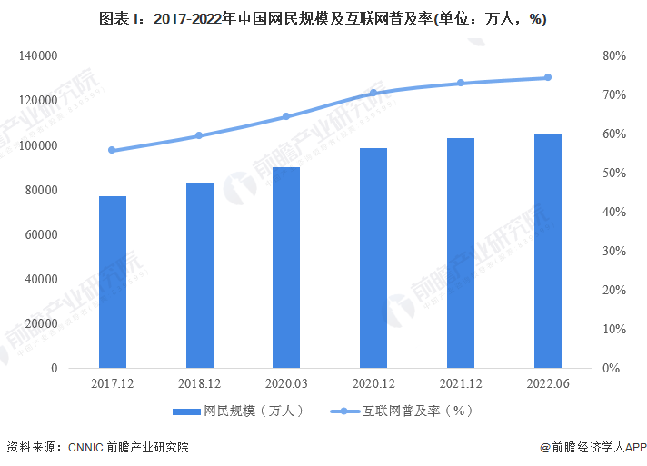 中国网民VPN使用趋势分析及深层反思,互联网发展趋势图,中国网民VPN,VPN服,VPN的,购买VPN服务,第1张