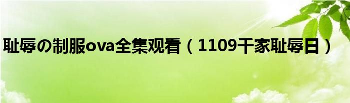 VPN，耻辱之日，我们的网络自由保障,网络加密示意图,耻辱之日需要VPN吗,VPN服,VPN的,VPN的加密,第1张