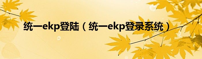 VPN登录EKP失败真相大揭秘,相关图片,用vpn无法登录ekp,了解VPN,VPN服,通过VPN连接,第1张