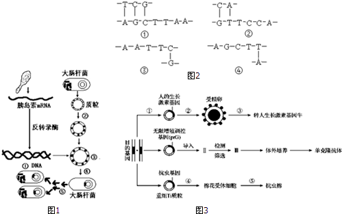 Shrew Soft VPN导入PCF步骤详解与应用探究,网络技术插图,shrew soft vpn导入pcf,VPN服,VPN配置信息,第1张