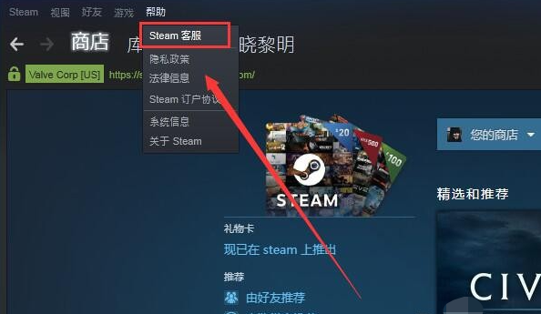 Steam平台VPN货币单位之谜揭秘,Steam平台截图,steam挂VPN货币单位,VPN服,VPN的,使用VPN连接,第1张