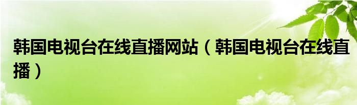 揭秘韩国直播网站，VPN使用攻略与热门平台盘点,vpn韩国直播的网站,VPN服,VPN在,VPN使用指南,第1张