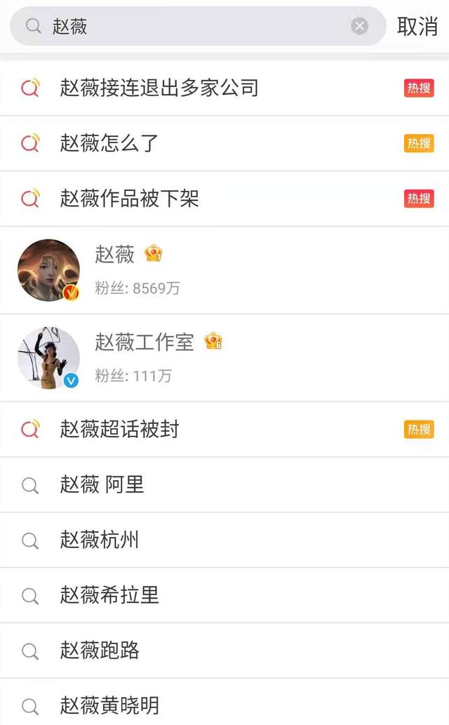 争议不断，未下架VPN背后的真相探秘,相关图片,还没下架的vpn,VPN服,VPN的,VPN在,第1张